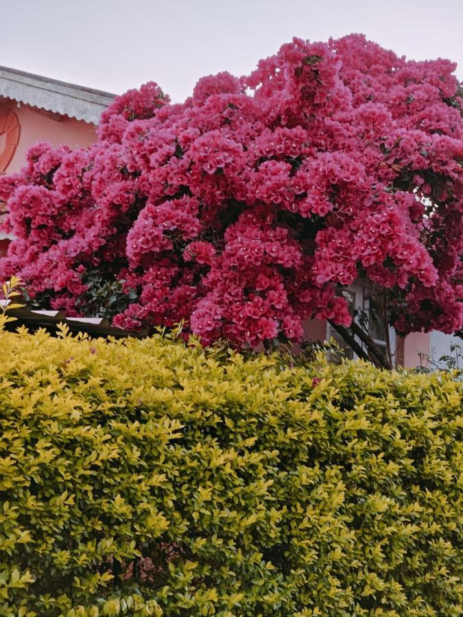 Bed and Breakfast Camellia Heights 1&2 Coonoor Exterior foto