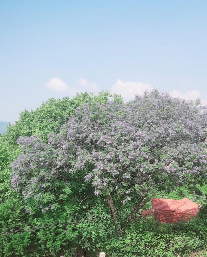 Bed and Breakfast Camellia Heights 1&2 Coonoor Exterior foto