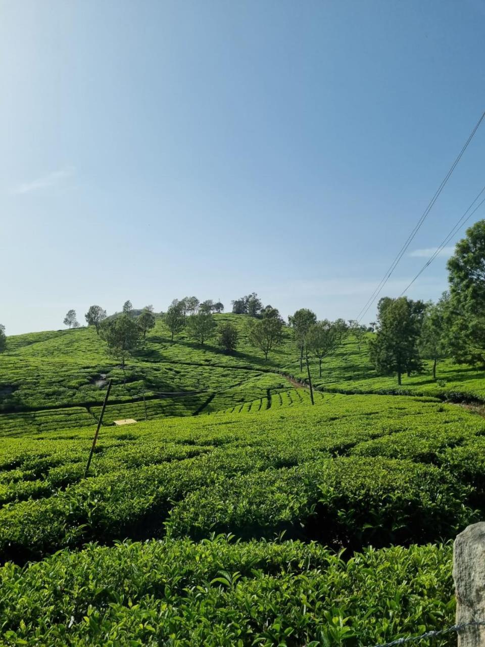 Bed and Breakfast Camellia Heights 1&2 Coonoor Exterior foto