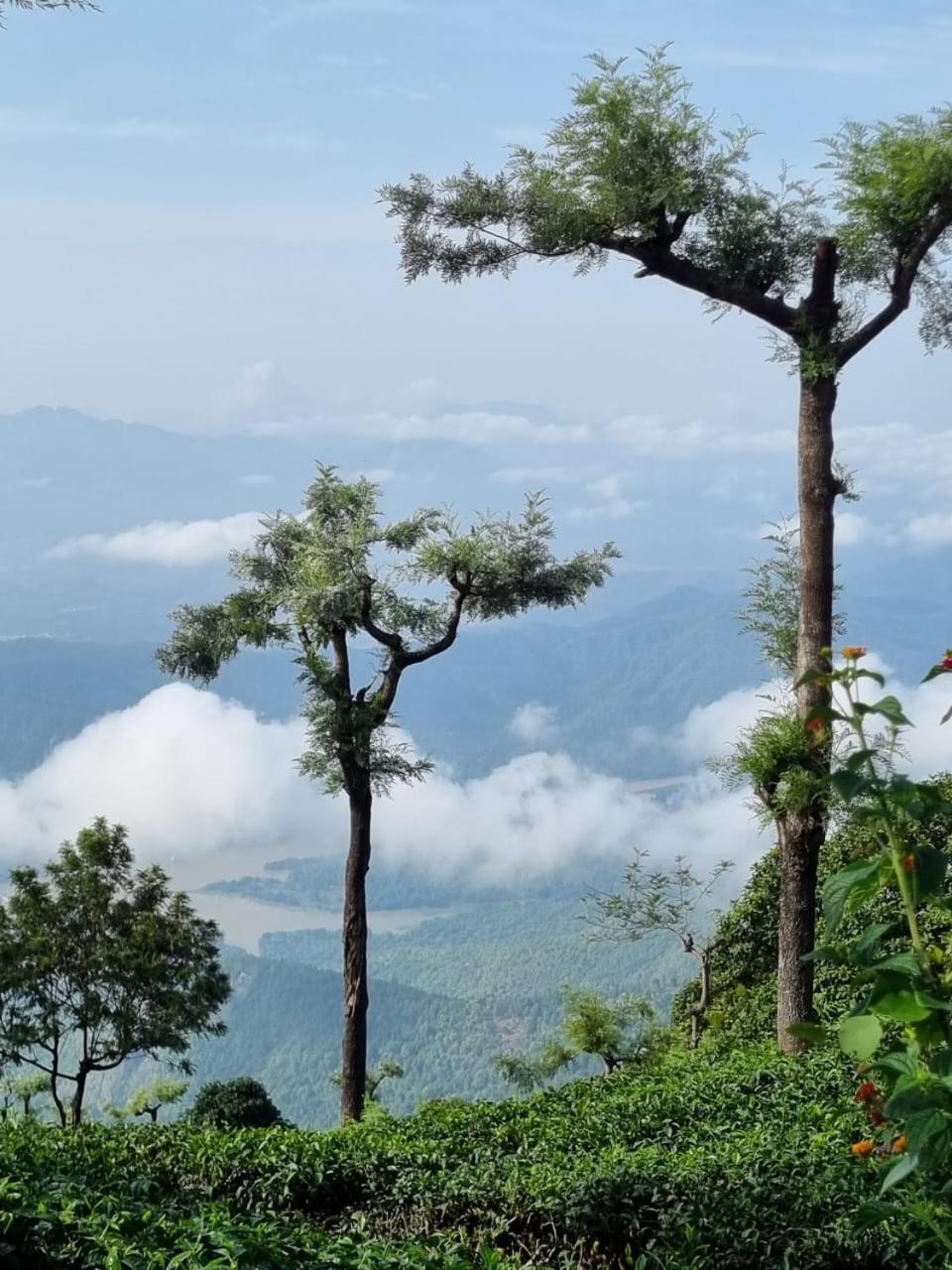 Bed and Breakfast Camellia Heights 1&2 Coonoor Exterior foto