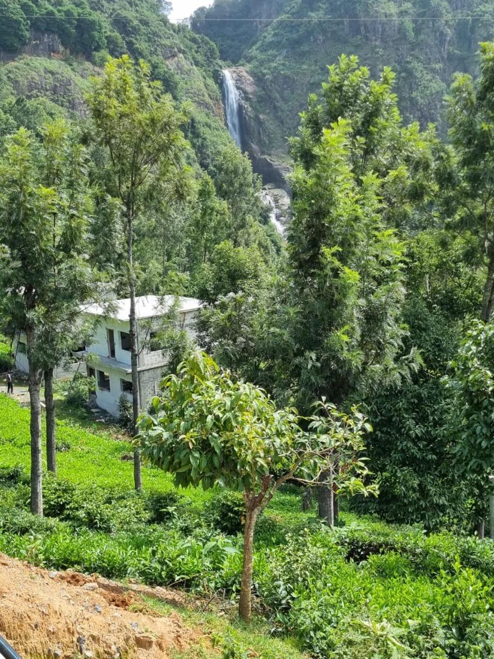 Bed and Breakfast Camellia Heights 1&2 Coonoor Exterior foto